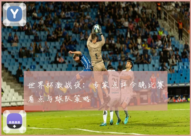 世界杯激战夜：专家点评今晚比赛看点与球队策略