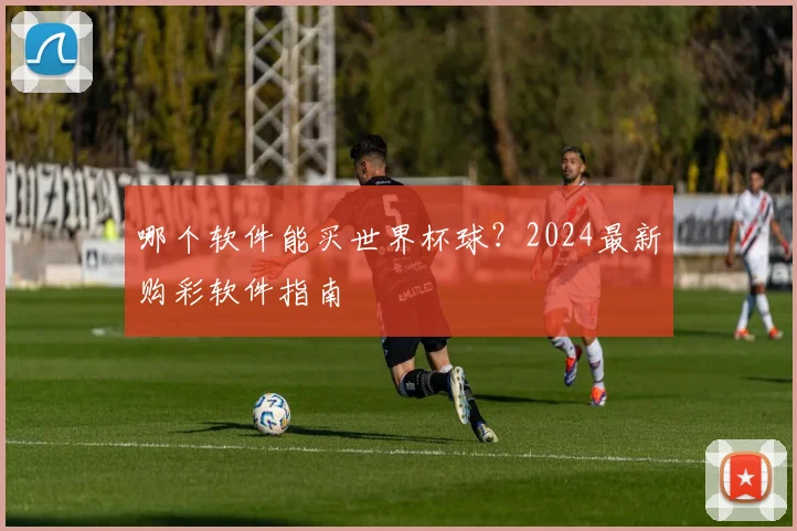 哪个软件能买世界杯球？2024最新购彩软件指南