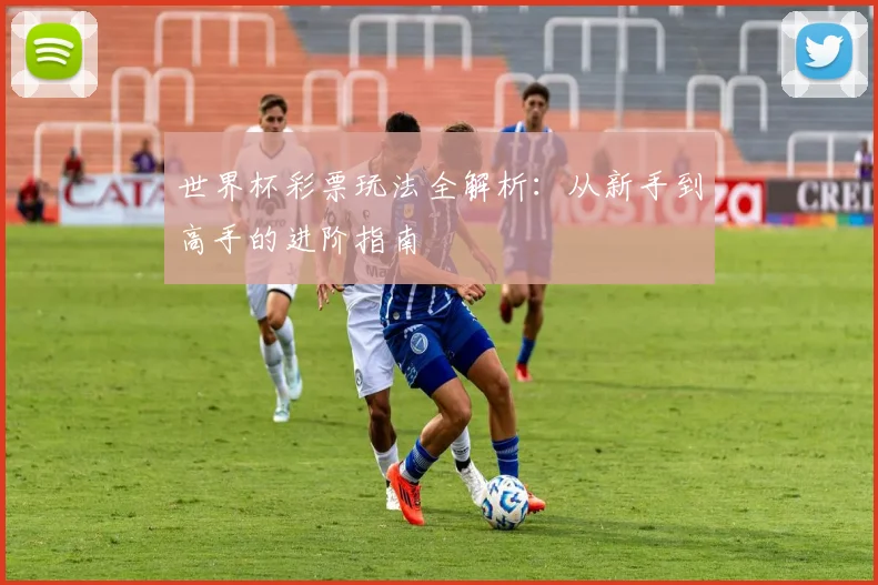 世界杯彩票玩法全解析:从新手到高手的进阶指南