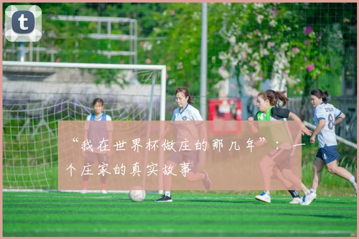 “我在世界杯做庄的那几年”:一个庄家的真实故事