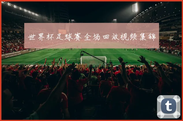 世界杯足球赛全场回放视频集锦