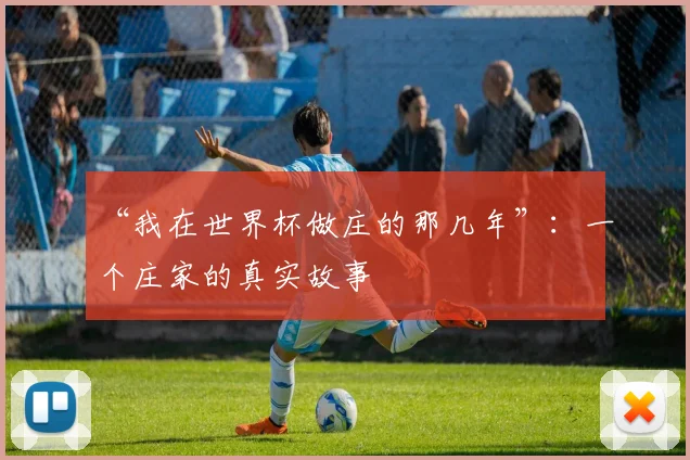 “我在世界杯做庄的那几年”：一个庄家的真实故事