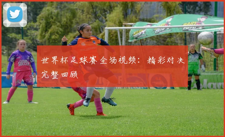 世界杯足球赛全场视频:精彩对决完整回顾