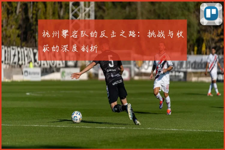杭州攀岩队的反击之路：挑战与收获的深度剖析