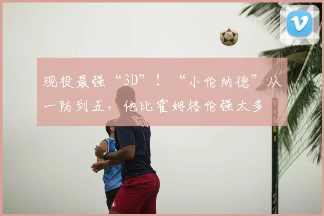 现役最强“3D”!“小伦纳德”从一防到五,他比霍姆格伦强太多