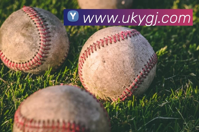 华体会手机网页版平台生态图