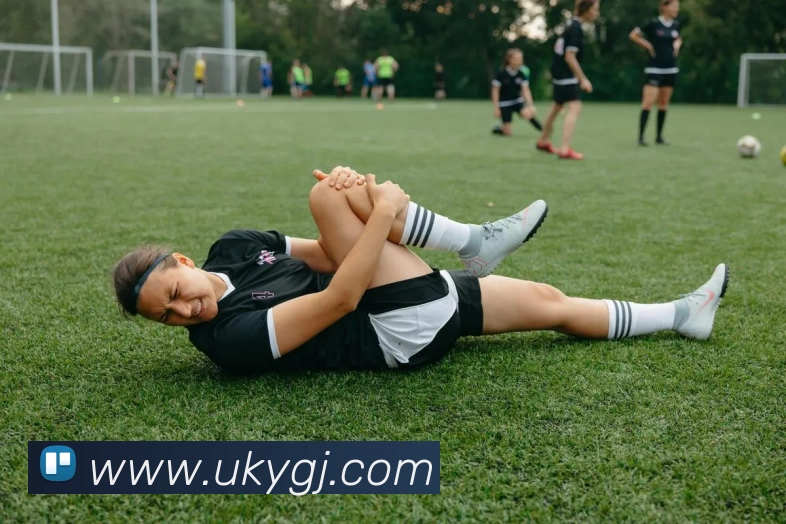 华体会手机网页版全站App